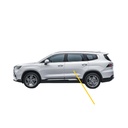 Geely OKAVANGO Side Metal Door (2023-2024)