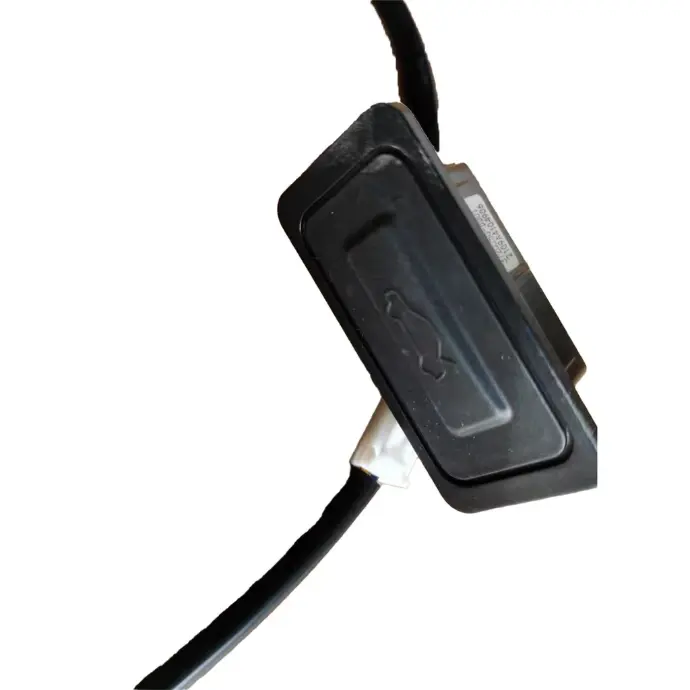 Hongqi HS5 Trunk Switch