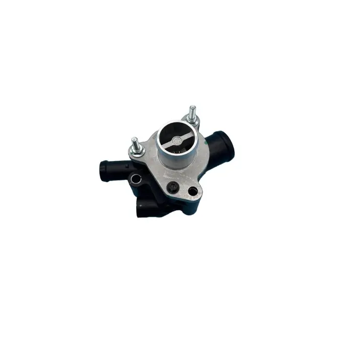 Maxus V80/ T60/ D20/ V90 Thermostat Assembly
