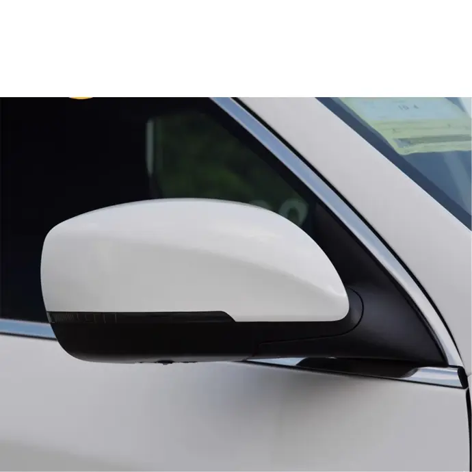 JAC S7/ X7 Reversing Mirror Assembly