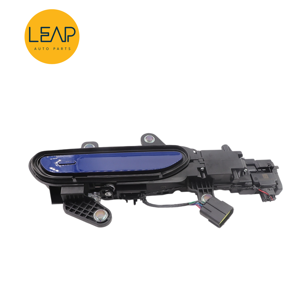 BYD Han EV/ DM Door Handle Assembly (2020-2022)