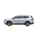 Geely OKAVANGO Side Metal Door (2023-2024)
