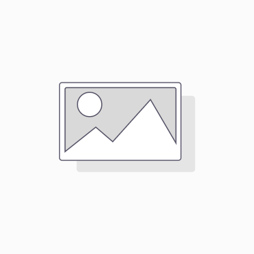 Shipping Services (Air Shipping)