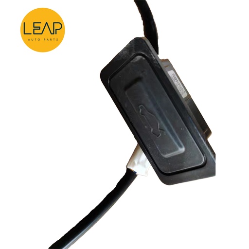 Hongqi HS5 Trunk Switch (2020-2024)