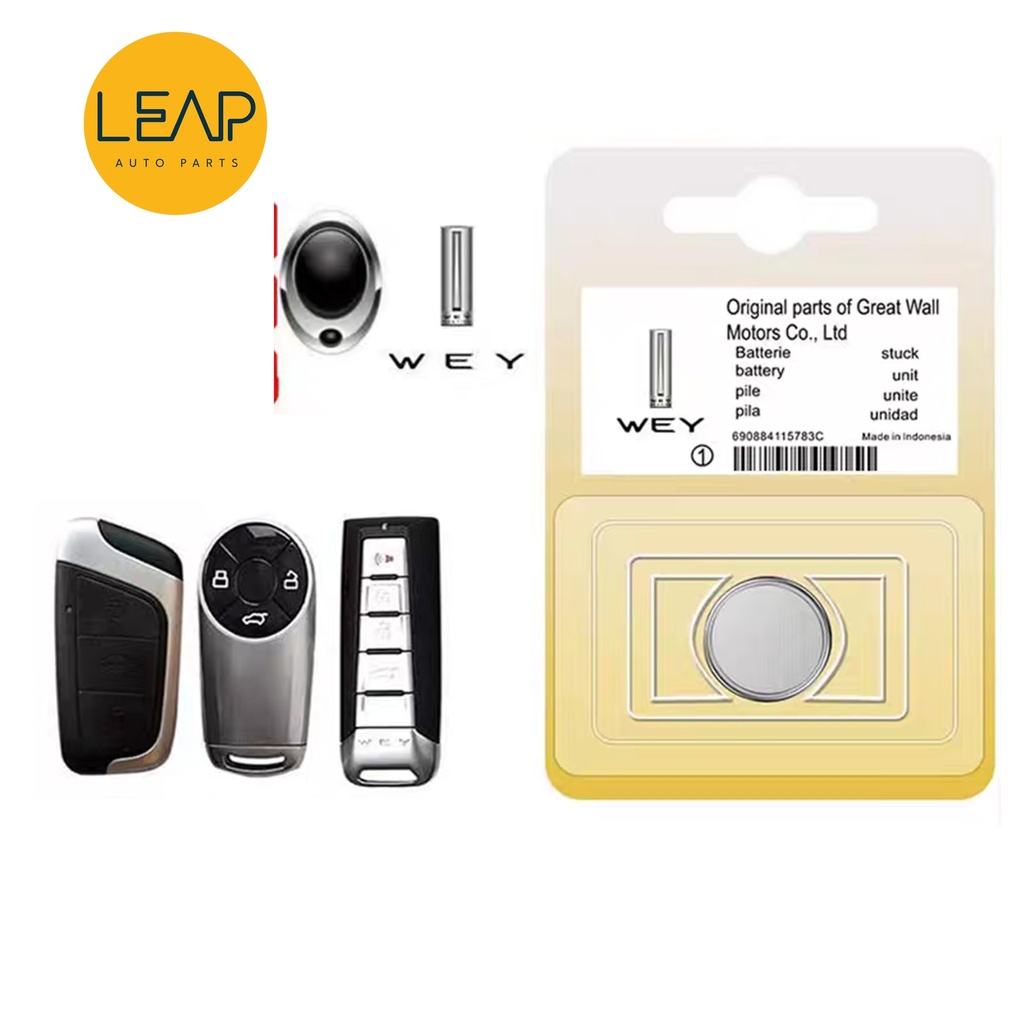 Great Wall Ora Funky Cat Remote Control (2020-2024) | Leap Auto Parts