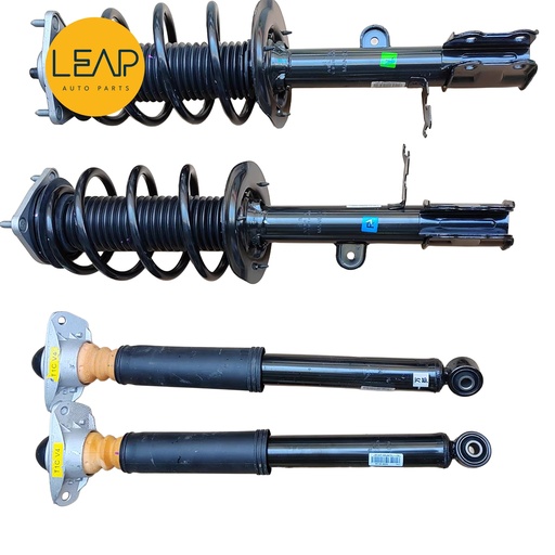 EXEED LX Modified Shock Absorber Assembly, Front and Rear