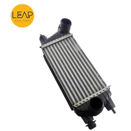 Dongfeng Shine (2023-2025) Intercooler