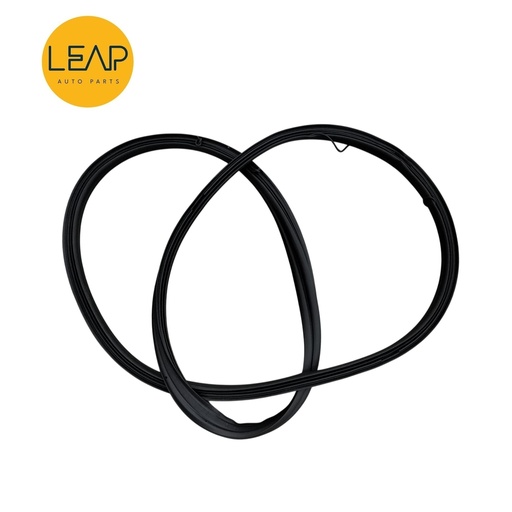 BYD Seal DM-i Door & Trunk Seal Set Complete (2024)