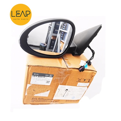 BYD Seagull Exterior Mirror Assembly (2023-2024)